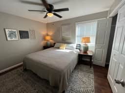 Savannah - Image 4